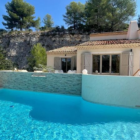 La Villa Des Carriers- Maison Avec Piscine Proche Mer Roquefort Les Pins Kültér fotó