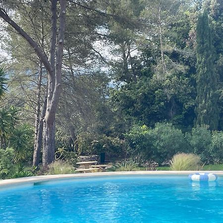 La Villa Des Carriers- Maison Avec Piscine Proche Mer Roquefort Les Pins Kültér fotó