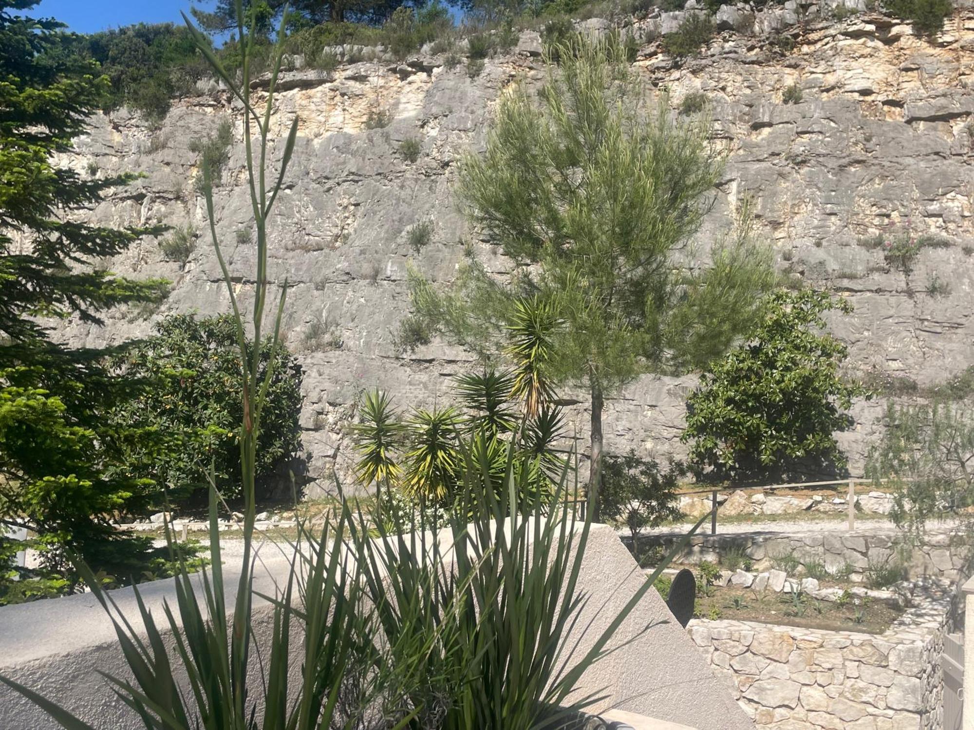 La Villa Des Carriers- Maison Avec Piscine Proche Mer Roquefort Les Pins Kültér fotó